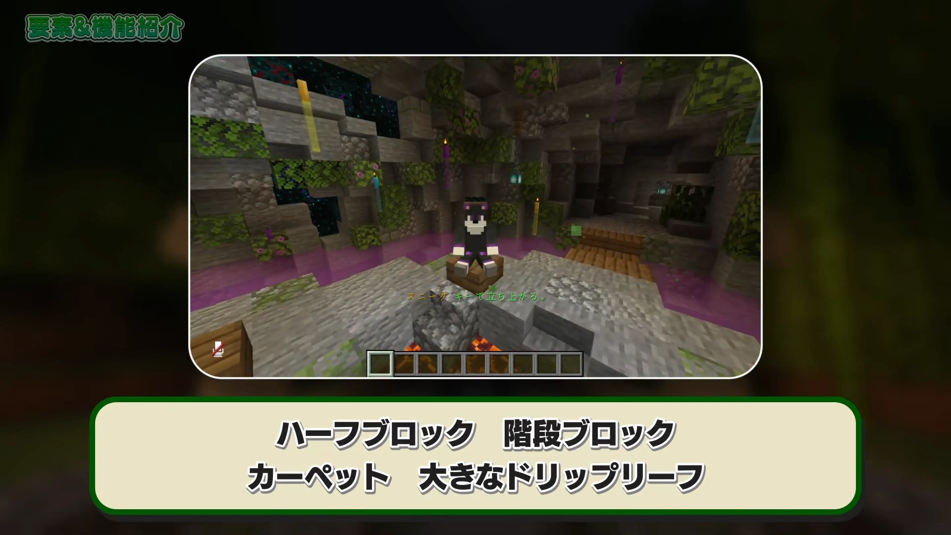 ハーフブロックに座っている様子(過去動画引用)